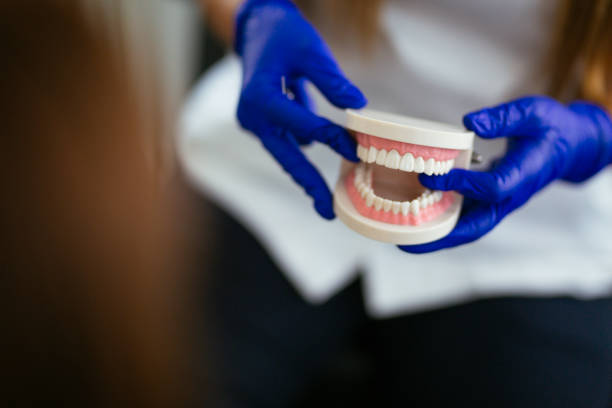 Bonnetsville, NC Holistic Dental Care Services Company